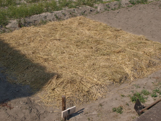 c0072843_196763.jpg