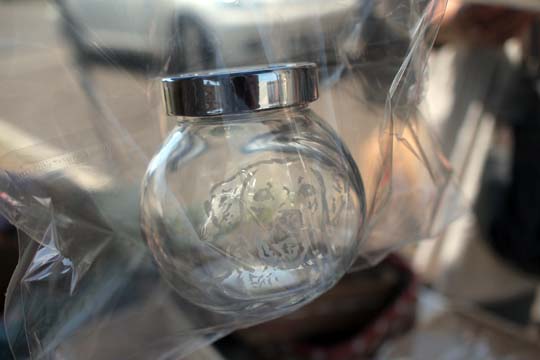 a0042044_222076.jpg