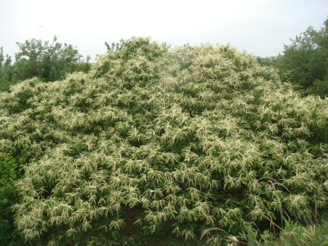 b0097645_23423855.jpg