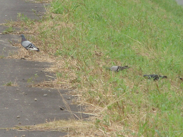 b0097645_23474870.jpg