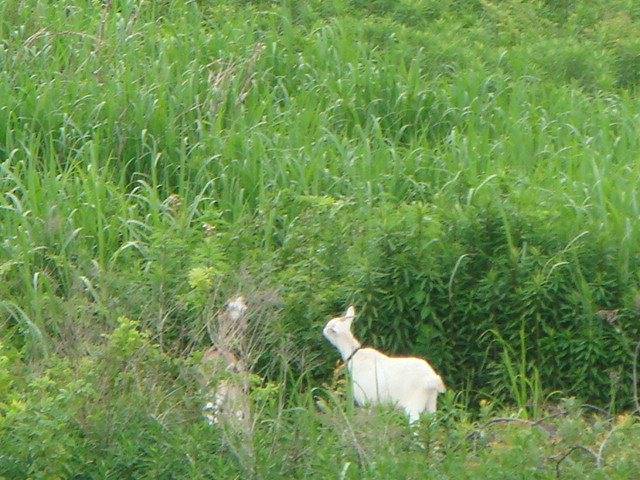b0097645_2351076.jpg