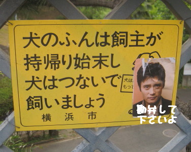 e0121548_20401728.jpg