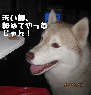 e0121548_2132325.jpg