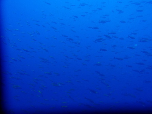 e0065350_19172832.jpg