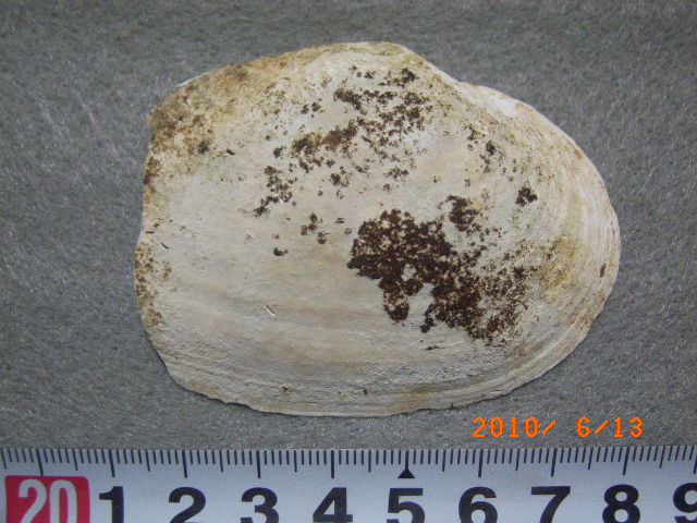 a0157451_21131637.jpg