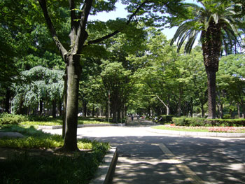 f0002252_21381649.jpg