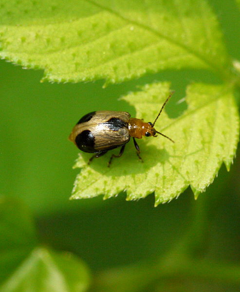 d0091754_2242673.jpg