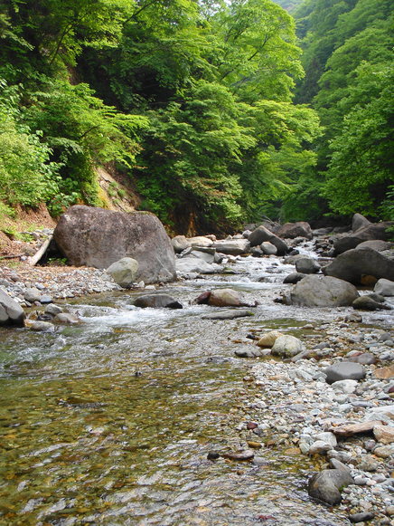 b0177355_22335128.jpg