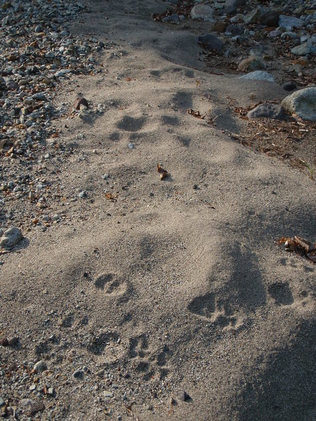 b0177355_23501512.jpg