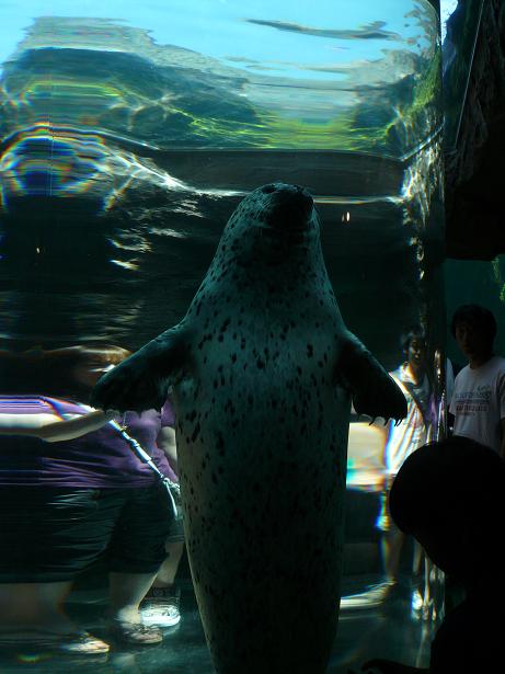 a0053558_22405047.jpg
