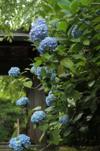 f0214858_19541993.jpg