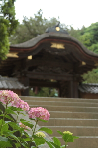 f0214858_2024786.jpg