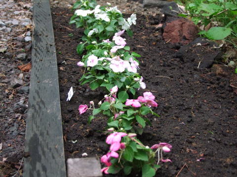 e0088260_22113894.jpg