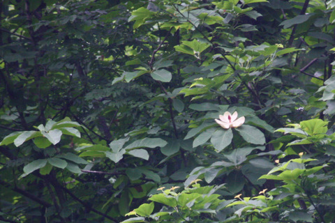 c0183164_1955634.jpg