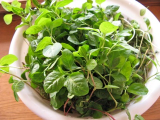 c0162965_5571737.jpg
