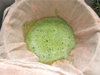 c0162965_558876.jpg