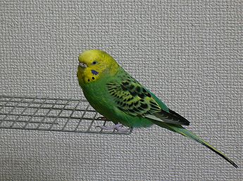 f0196665_23261643.jpg