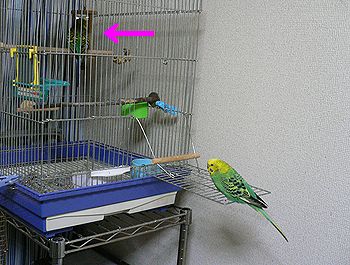 f0196665_23312230.jpg