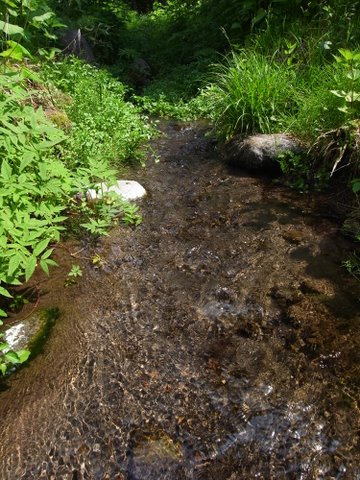 b0130166_20104729.jpg