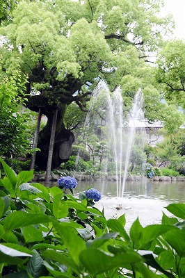 b0131167_16311754.jpg