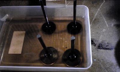 f0021470_18553767.jpg