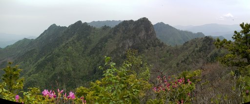 f0054075_2324493.jpg