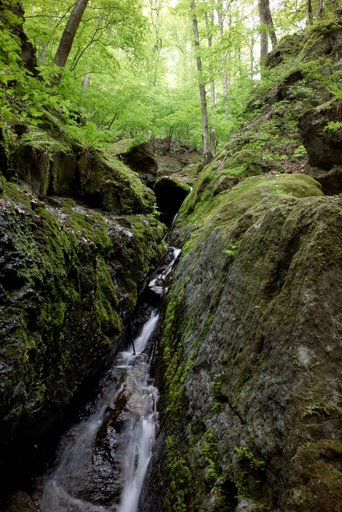 f0054075_2333712.jpg