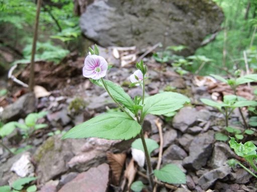 f0054075_234541.jpg