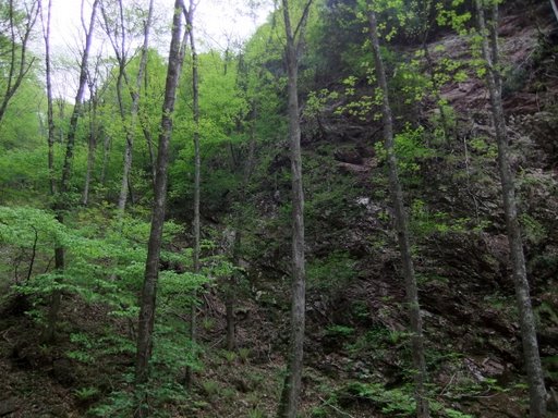 f0054075_234698.jpg