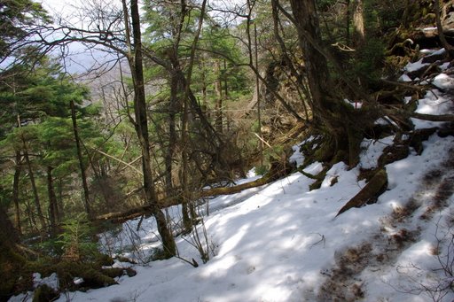 f0054075_23555472.jpg
