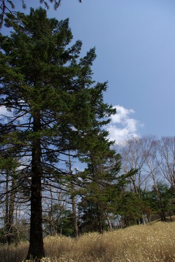 f0054075_2359961.jpg