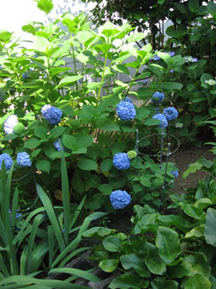 f0056476_1205987.jpg