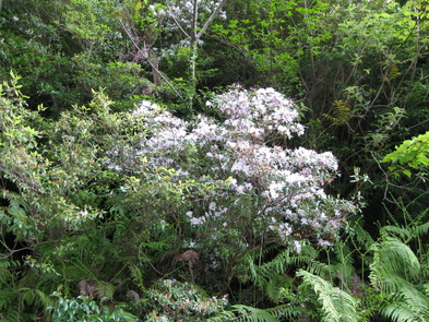 b0174079_14265749.jpg