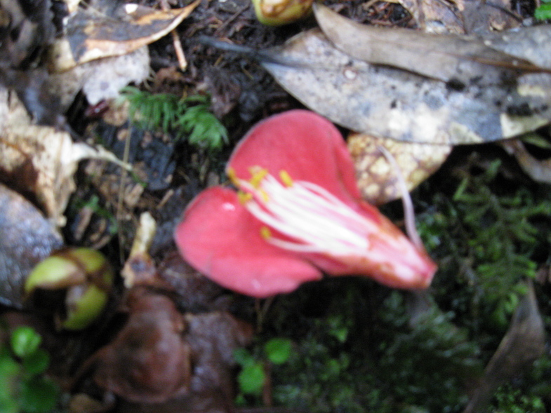 b0174079_1533833.jpg