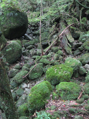 b0174079_15455171.jpg