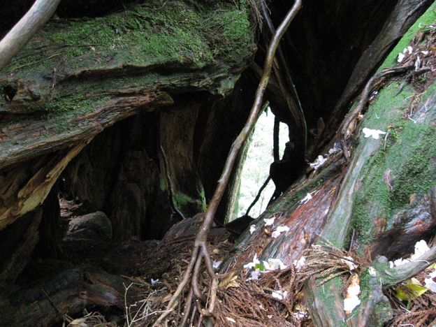 b0174079_1547427.jpg