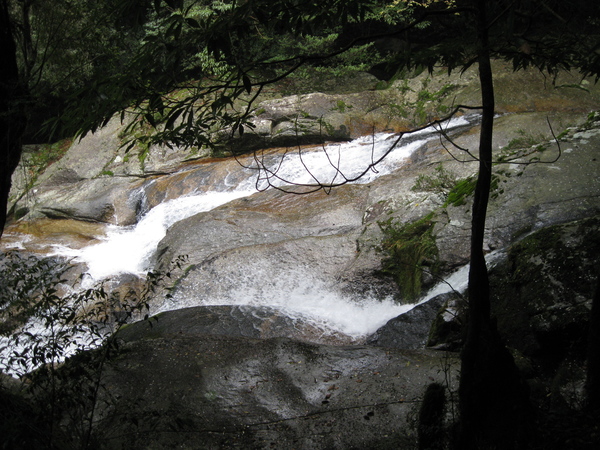 b0174079_1572529.jpg