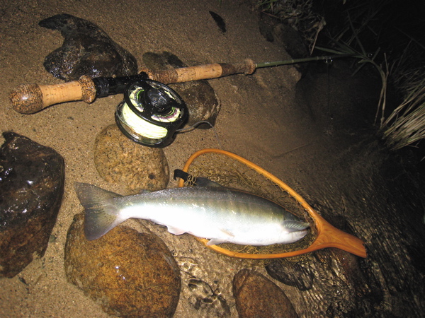 b0049180_21372780.jpg