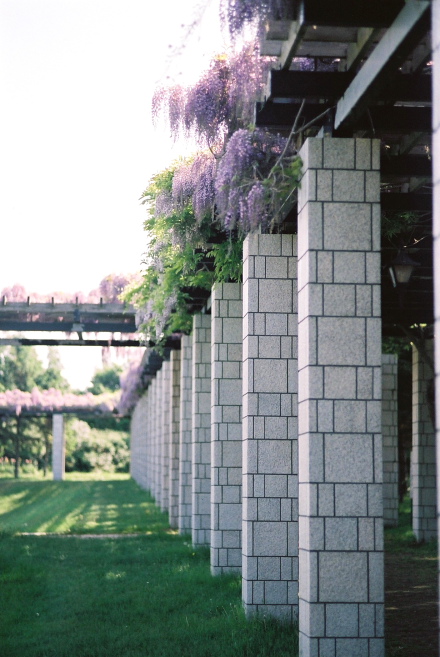 f0163583_21252264.jpg