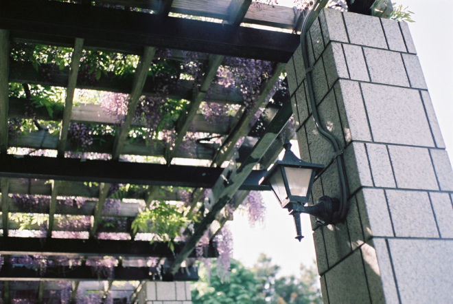 f0163583_21273287.jpg