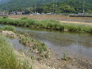e0060485_1152927.jpg