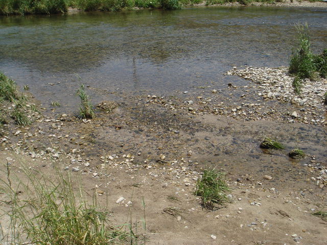 e0060485_1155747.jpg