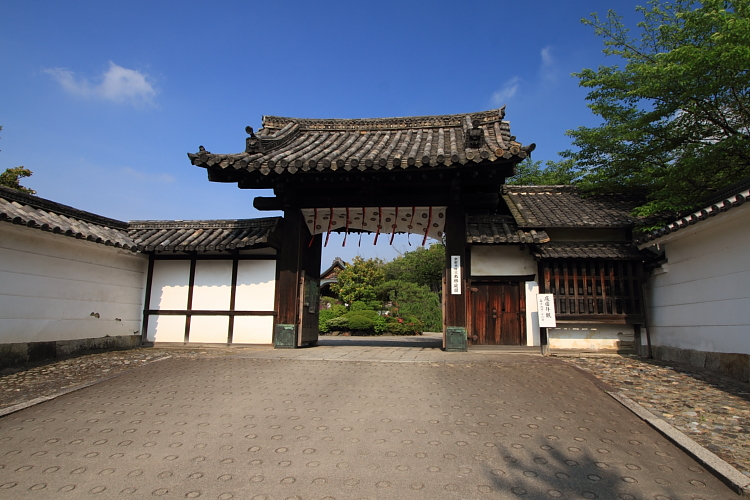 e0051888_2313643.jpg