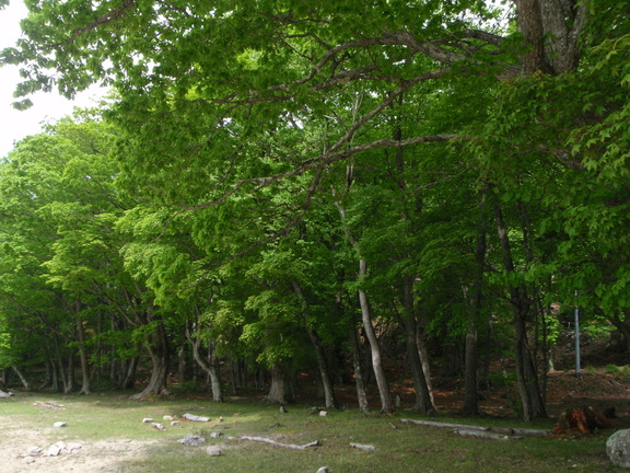 d0165689_21284487.jpg