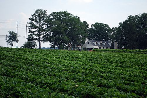 b0148991_552180.jpg