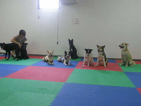 a0164292_1271533.jpg