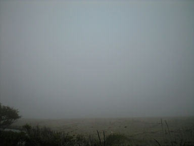 b0124693_22374834.jpg