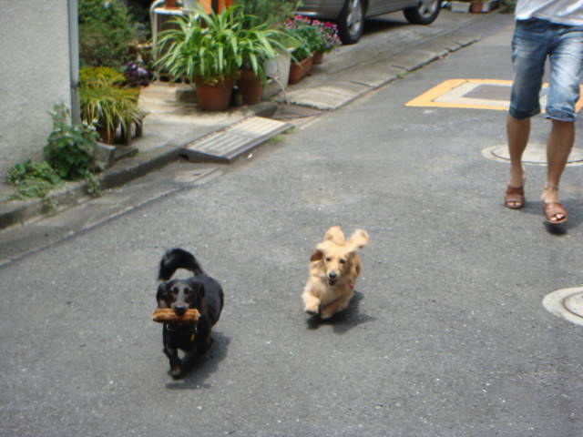 d0098295_21431675.jpg