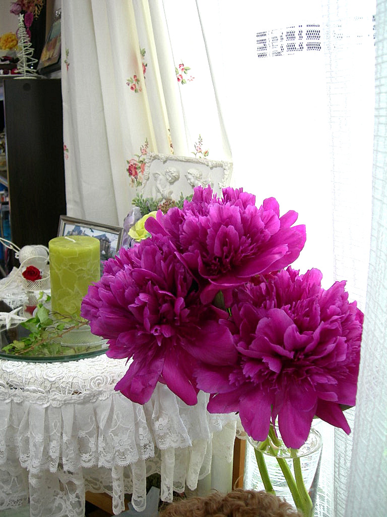 c0220700_681781.jpg