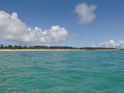 d0141800_5283693.jpg